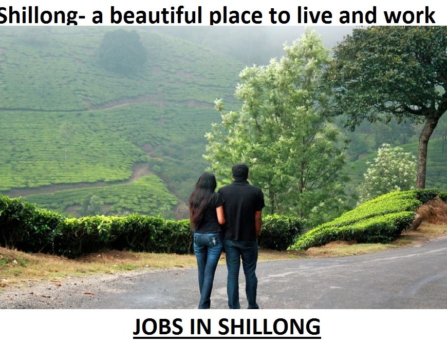 jobs in shillong